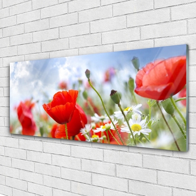 Glasbild aus Plexiglas® Mohnblumen Gänseblümchen Pflanzen