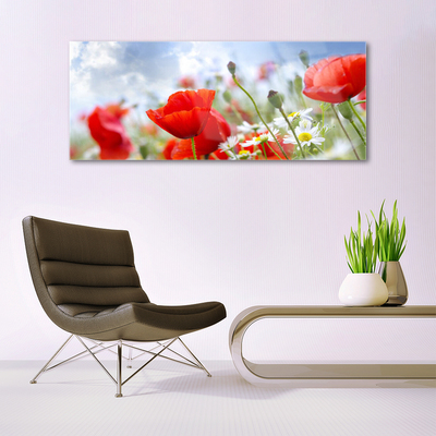 Glasbild aus Plexiglas® Mohnblumen Gänseblümchen Pflanzen