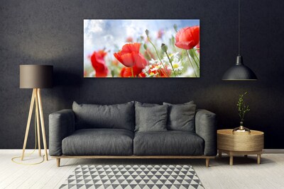 Glasbild aus Plexiglas® Mohnblumen Gänseblümchen Pflanzen