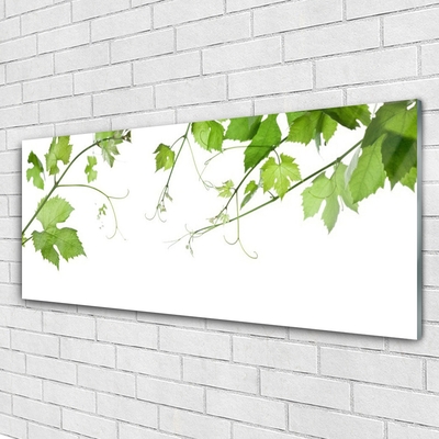 Glasbild aus Plexiglas® Zweige Blätter Pflanzen
