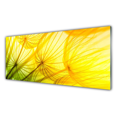 Glasbild aus Plexiglas® Pusteblume Pflanzen