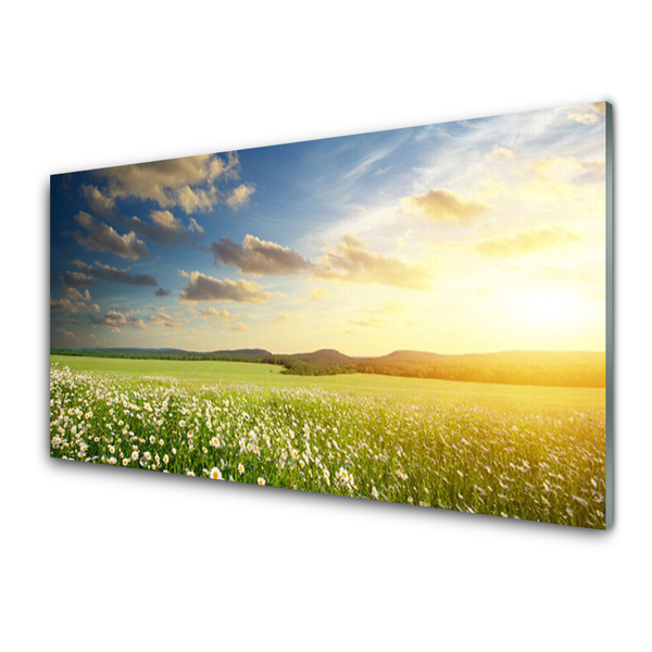 Glasbild aus Plexiglas® Wiese Blumen Landschaft