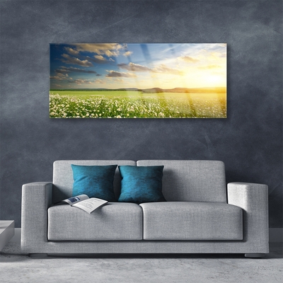 Glasbild aus Plexiglas® Wiese Blumen Landschaft