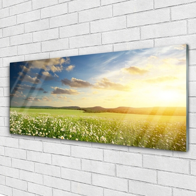 Glasbild aus Plexiglas® Wiese Blumen Landschaft