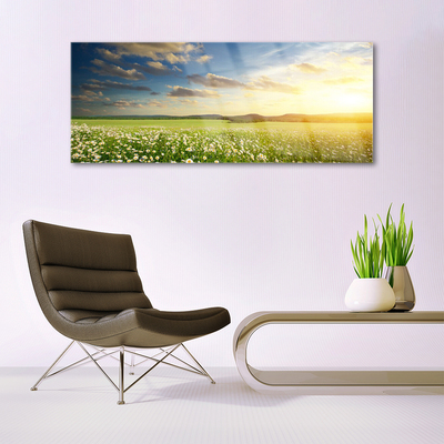 Glasbild aus Plexiglas® Wiese Blumen Landschaft