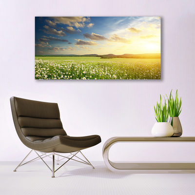 Glasbild aus Plexiglas® Wiese Blumen Landschaft