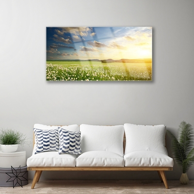 Glasbild aus Plexiglas® Wiese Blumen Landschaft