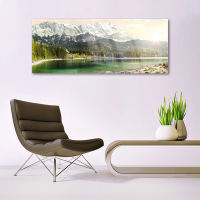 Glasbild aus Plexiglas® Gebirge Wald See Landschaft