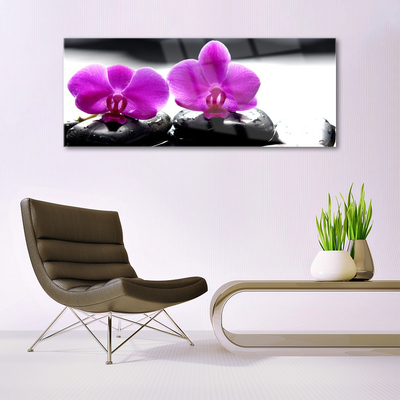 Glasbild aus Plexiglas® Blumen Steine Pflanzen