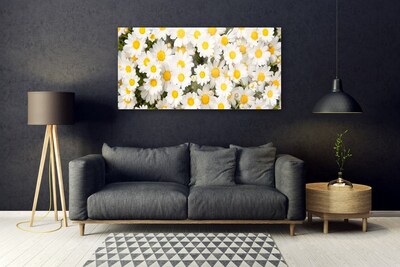 Glasbild aus Plexiglas® Gänseblümchen Pflanzen