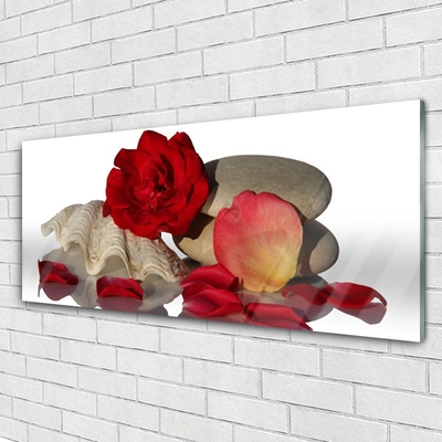 Glasbild aus Plexiglas® Rose Muschel Steine Kunst