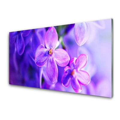 Glasbild aus Plexiglas® Blumen Pflanzen