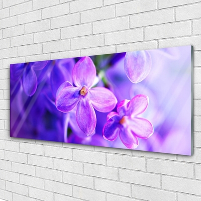 Glasbild aus Plexiglas® Blumen Pflanzen