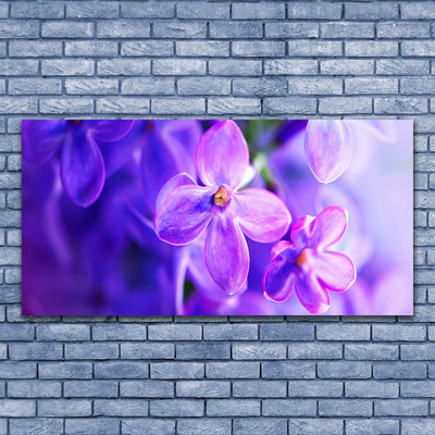 Glasbild aus Plexiglas® Blumen Pflanzen