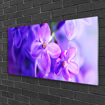 Glasbild aus Plexiglas® Blumen Pflanzen