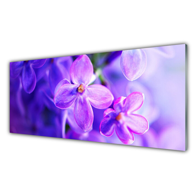 Glasbild aus Plexiglas® Blumen Pflanzen