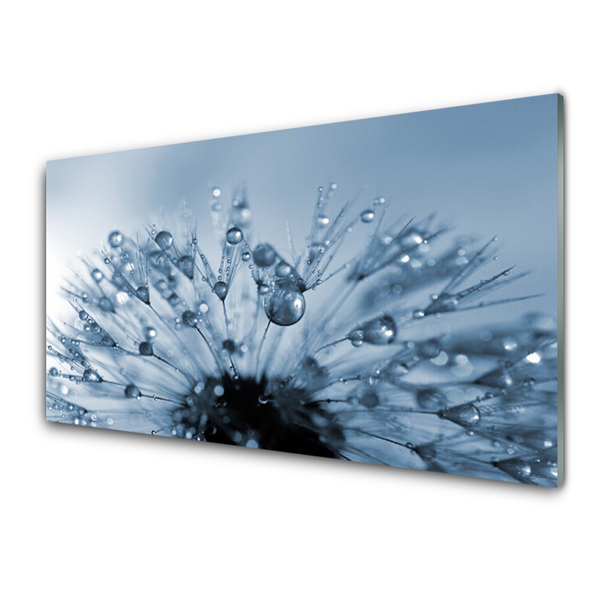 Glasbild aus Plexiglas® Pusteblume Pflanzen