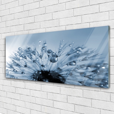 Glasbild aus Plexiglas® Pusteblume Pflanzen