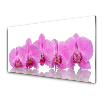 Glasbild aus Plexiglas® Blumen Pflanzen