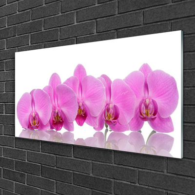 Glasbild aus Plexiglas® Blumen Pflanzen