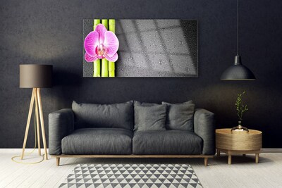 Glasbild aus Plexiglas® Bambusrohre Blume Pflanzen