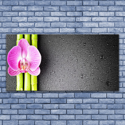 Glasbild aus Plexiglas® Bambusrohre Blume Pflanzen