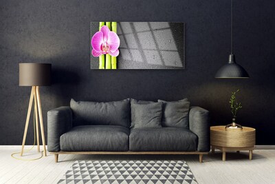 Glasbild aus Plexiglas® Bambusrohre Blume Pflanzen