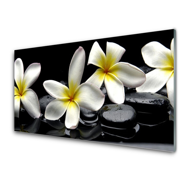 Glasbild aus Plexiglas® Blumen Steine Pflanzen