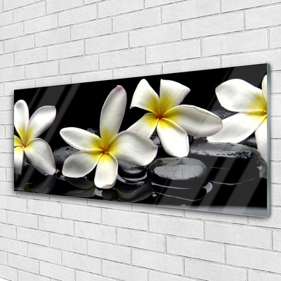 Glasbild aus Plexiglas® Blumen Steine Pflanzen