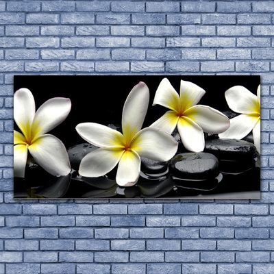 Glasbild aus Plexiglas® Blumen Steine Pflanzen