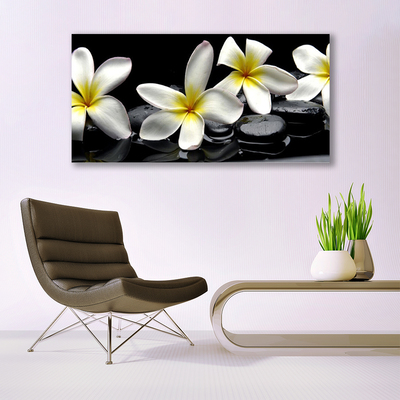 Glasbild aus Plexiglas® Blumen Steine Pflanzen