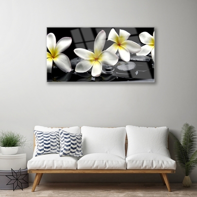 Glasbild aus Plexiglas® Blumen Steine Pflanzen