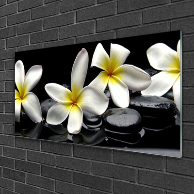 Glasbild aus Plexiglas® Blumen Steine Pflanzen