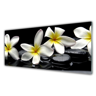 Glasbild aus Plexiglas® Blumen Steine Pflanzen