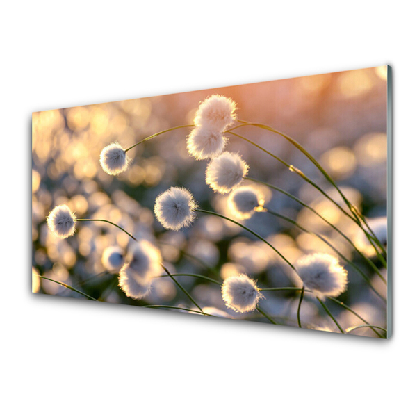 Glasbild aus Plexiglas® Blumen Pflanzen