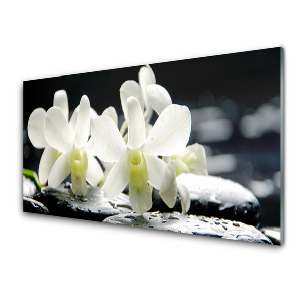 Glasbild aus Plexiglas® Blumen Steine Pflanzen