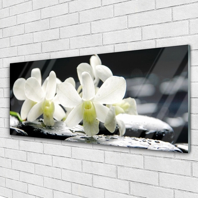 Glasbild aus Plexiglas® Blumen Steine Pflanzen