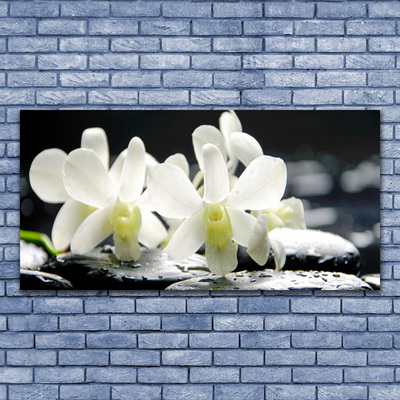 Glasbild aus Plexiglas® Blumen Steine Pflanzen