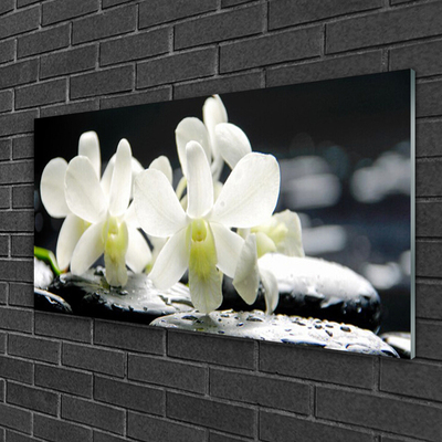 Glasbild aus Plexiglas® Blumen Steine Pflanzen