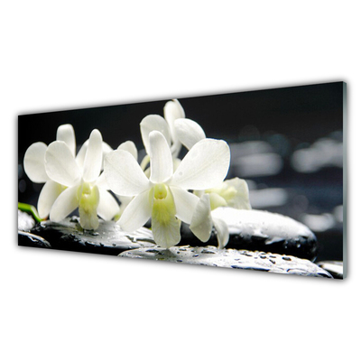 Glasbild aus Plexiglas® Blumen Steine Pflanzen