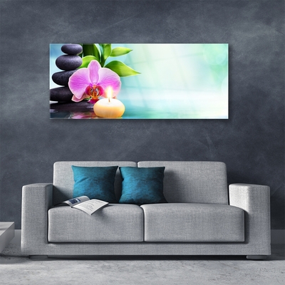 Glasbild aus Plexiglas® Bambusrohre Steine Blume Kunst