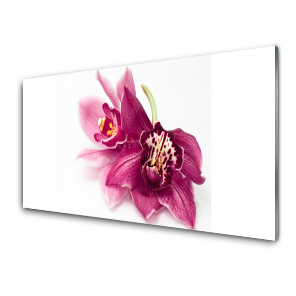 Glasbild aus Plexiglas® Blumen Pflanzen