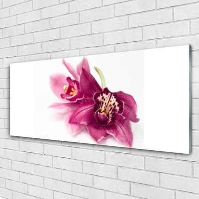 Glasbild aus Plexiglas® Blumen Pflanzen