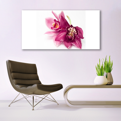 Glasbild aus Plexiglas® Blumen Pflanzen