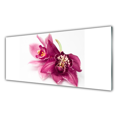 Glasbild aus Plexiglas® Blumen Pflanzen