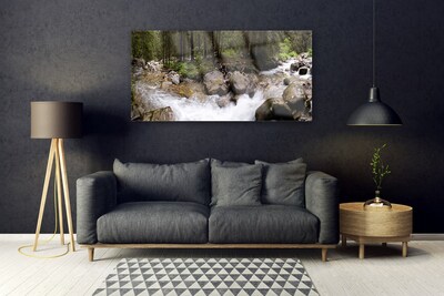 Glasbild aus Plexiglas® Wald Bach Steine Natur