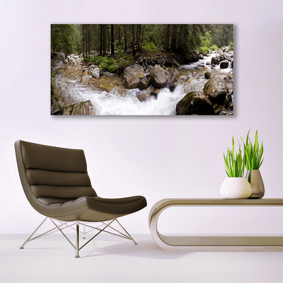 Glasbild aus Plexiglas® Wald Bach Steine Natur