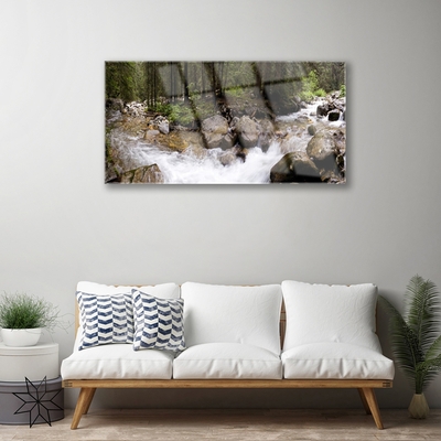 Glasbild aus Plexiglas® Wald Bach Steine Natur