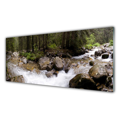 Glasbild aus Plexiglas® Wald Bach Steine Natur