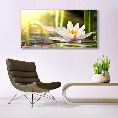 Glasbild aus Plexiglas® Blume Pflanzen